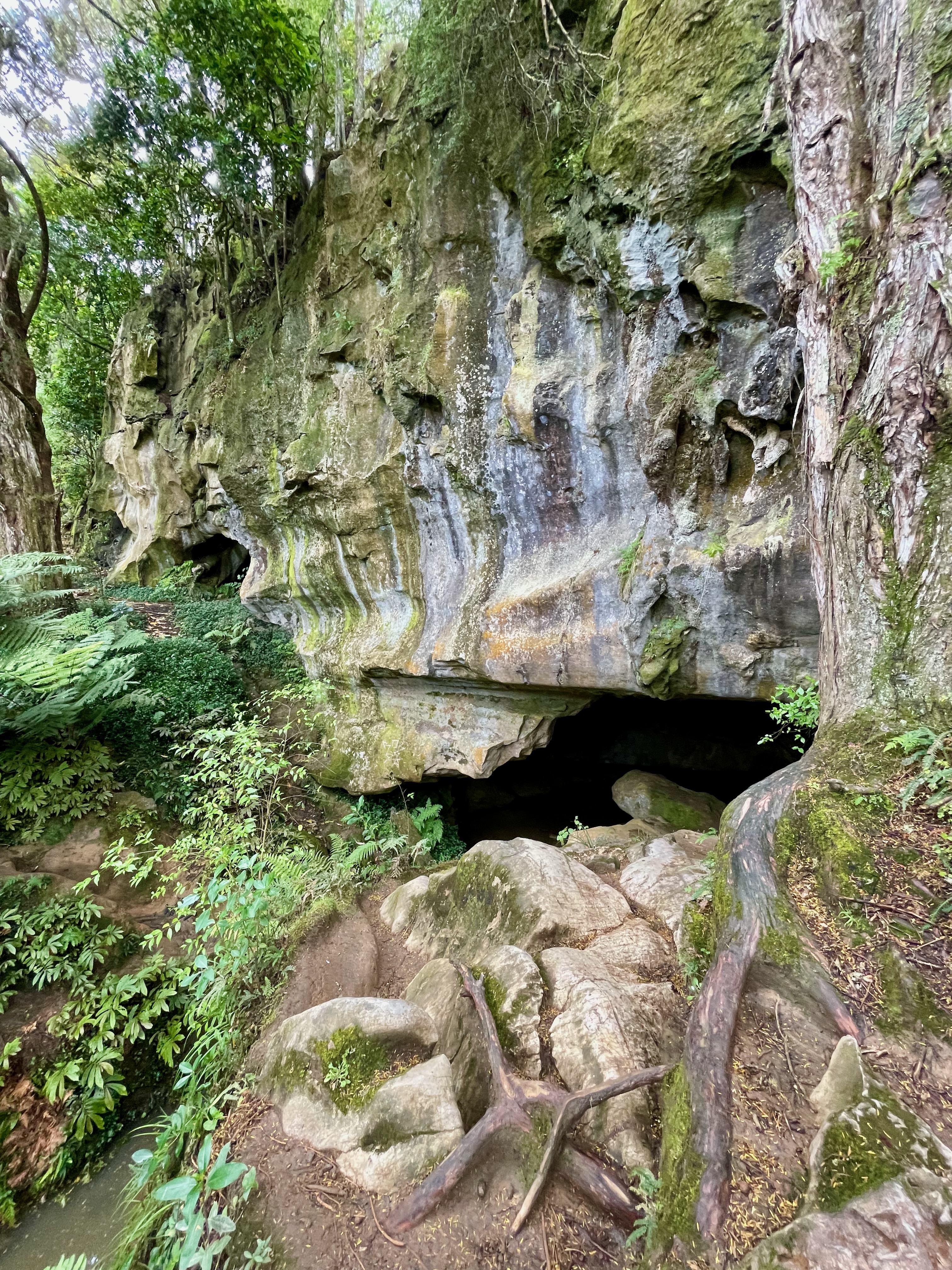The mouth of the cave